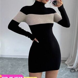 Elegant Black and Cream Turtleneck Dress